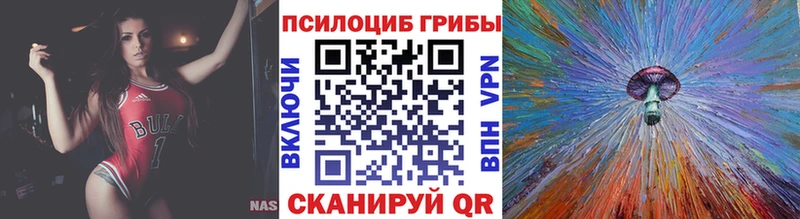 где найти   Хилок  Псилоцибиновые грибы MAGIC MUSHROOMS 